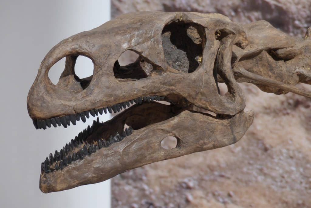 Visit Dinosaur National Monument