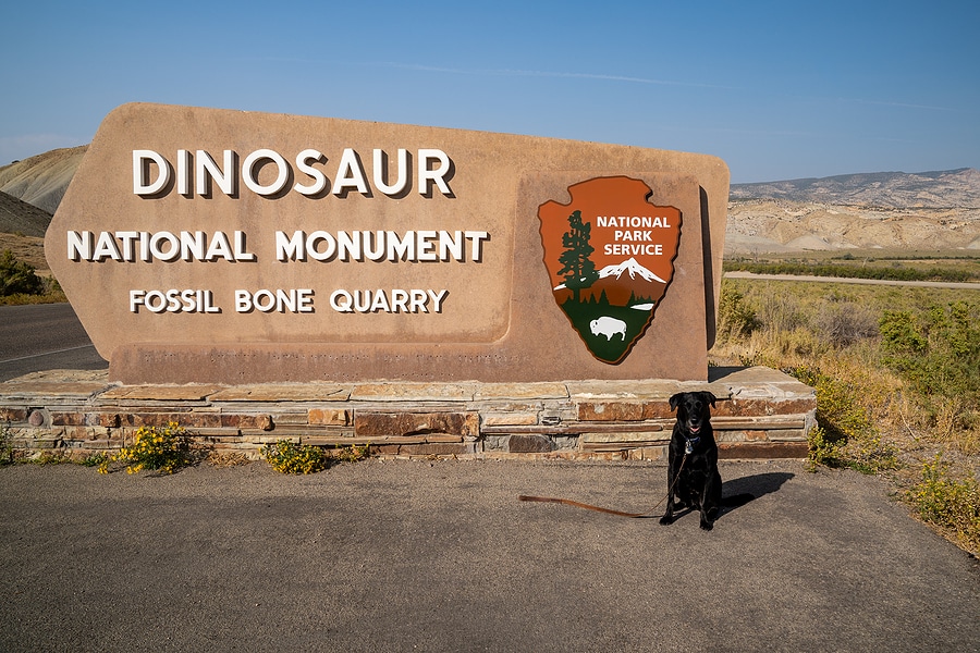 Top 10 Favorite Activites at Dinosaur National Monument